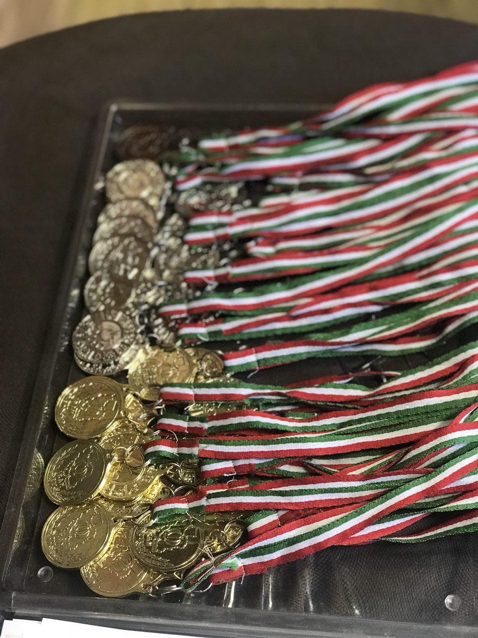 دومین دوره از مسابقات طرح حیاط پویا به پایان رسید